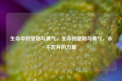 生命中的坚韧与勇气，生命的坚韧与勇气，永不言弃的力量