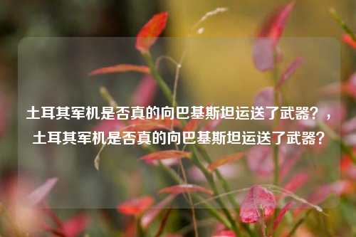 土耳其军机是否真的向巴基斯坦运送了武器？，土耳其军机是否真的向巴基斯坦运送了武器？