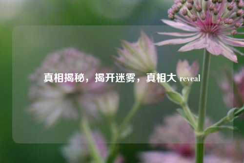 真相揭秘，揭开迷雾，真相大 reveal