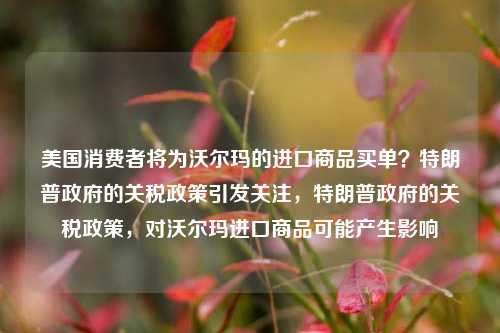 美国消费者将为沃尔玛的进口商品买单？特朗普政府的关税政策引发关注，特朗普政府的关税政策，对沃尔玛进口商品可能产生影响