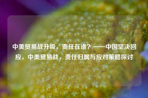 中美贸易战升级，责任在谁？——中国坚决回应，中美贸易战，责任归属与应对策略探讨