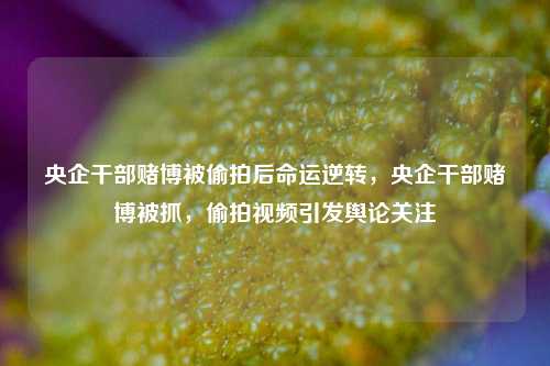央企干部赌博被偷拍后命运逆转，央企干部赌博被抓，偷拍视频引发舆论关注