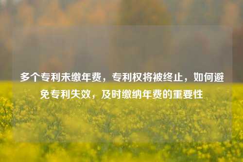 多个专利未缴年费，专利权将被终止，如何避免专利失效，及时缴纳年费的重要性