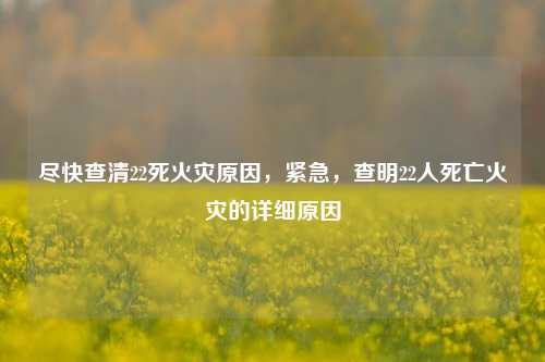 尽快查清22死火灾原因，紧急，查明22人死亡火灾的详细原因