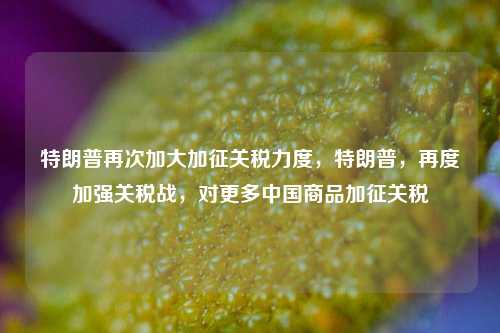 特朗普再次加大加征关税力度，特朗普，再度加强关税战，对更多中国商品加征关税