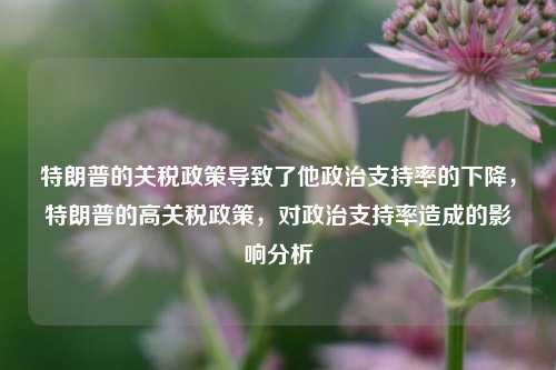 特朗普的关税政策导致了他政治支持率的下降，特朗普的高关税政策，对政治支持率造成的影响分析