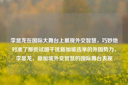 李显龙在国际大舞台上展现外交智慧，巧妙地对准了那些试图干扰新加坡选举的外国势力，李显龙，新加坡外交智慧的国际舞台表现