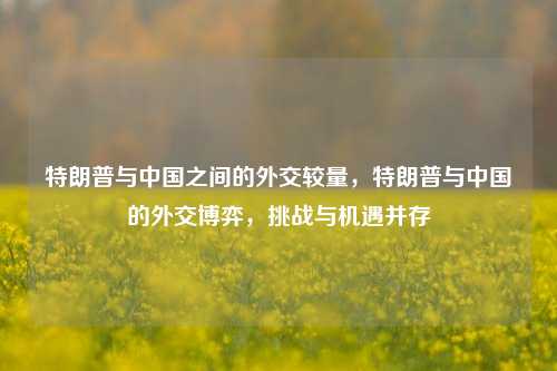 特朗普与中国之间的外交较量，特朗普与中国的外交博弈，挑战与机遇并存