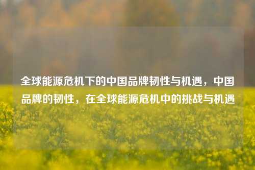 全球能源危机下的中国品牌韧性与机遇，中国品牌的韧性，在全球能源危机中的挑战与机遇