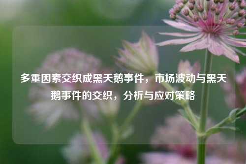 多重因素交织成黑天鹅事件，市场波动与黑天鹅事件的交织，分析与应对策略