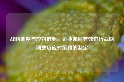 战略调整与应对措施，企业如何有效进行战略调整及应对策略的制定