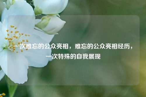 一次难忘的公众亮相，难忘的公众亮相经历，一次特殊的自我展现