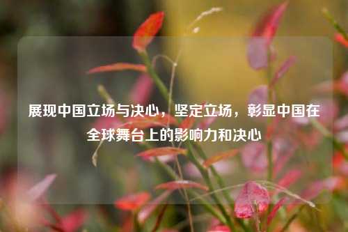 展现中国立场与决心，坚定立场，彰显中国在全球舞台上的影响力和决心