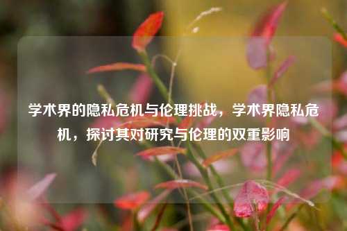 学术界的隐私危机与伦理挑战，学术界隐私危机，探讨其对研究与伦理的双重影响