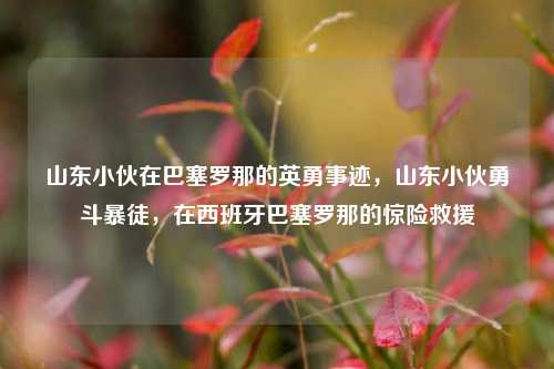 山东小伙在巴塞罗那的英勇事迹，山东小伙勇斗暴徒，在西班牙巴塞罗那的惊险救援