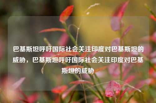 巴基斯坦呼吁国际社会关注印度对巴基斯坦的威胁，巴基斯坦呼吁国际社会关注印度对巴基斯坦的威胁
