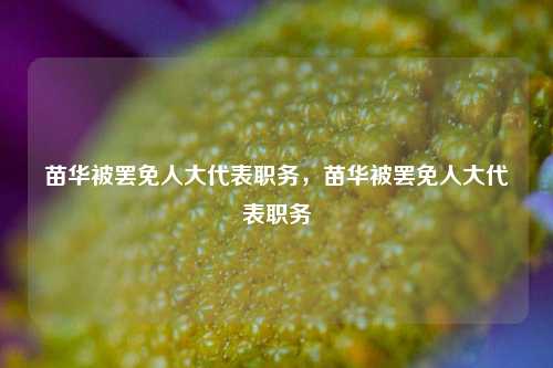苗华被罢免人大代表职务，苗华被罢免人大代表职务
