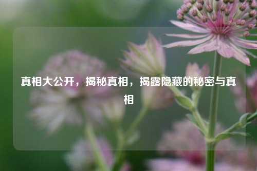 真相大公开，揭秘真相，揭露隐藏的秘密与真相