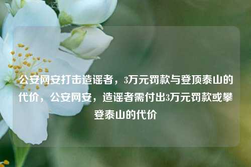 公安网安打击造谣者，3万元罚款与登顶泰山的代价，公安网安，造谣者需付出3万元罚款或攀登泰山的代价