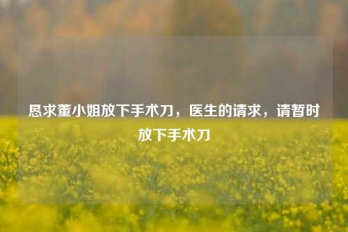恳求董小姐放下手术刀，医生的请求，请暂时放下手术刀