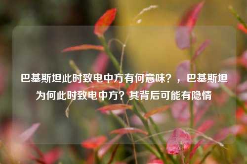 巴基斯坦此时致电中方有何意味？，巴基斯坦为何此时致电中方？其背后可能有隐情