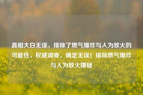真相大白无误，排除了燃气爆炸与人为放火的可能性，权威调查，确定无误！排除燃气爆炸与人为放火嫌疑