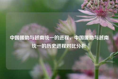 中国援助与越南统一的进程，中国援助与越南统一的历史进程对比分析