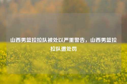 山西男篮拉拉队被处以严重警告，山西男篮拉拉队遭处罚