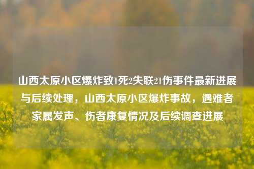 山西太原小区爆炸致1死2失联21伤事件最新进展与后续处理，山西太原小区爆炸事故，遇难者家属发声、伤者康复情况及后续调查进展