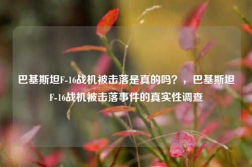 巴基斯坦F-16战机被击落是真的吗？，巴基斯坦F-16战机被击落事件的真实性调查