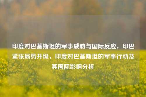 印度对巴基斯坦的军事威胁与国际反应，印巴紧张局势升级，印度对巴基斯坦的军事行动及其国际影响分析