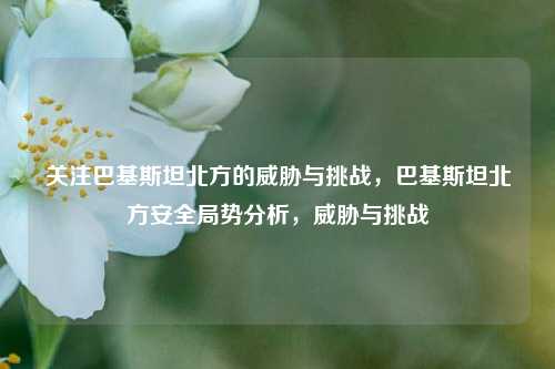关注巴基斯坦北方的威胁与挑战，巴基斯坦北方安全局势分析，威胁与挑战
