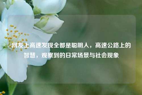 网友上高速发现全都是聪明人，高速公路上的智慧，观察到的日常场景与社会现象