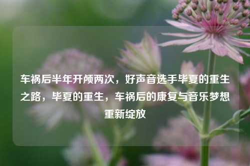 车祸后半年开颅两次，好声音选手毕夏的重生之路，毕夏的重生，车祸后的康复与音乐梦想重新绽放