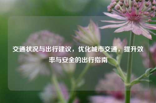 交通状况与出行建议，优化城市交通，提升效率与安全的出行指南