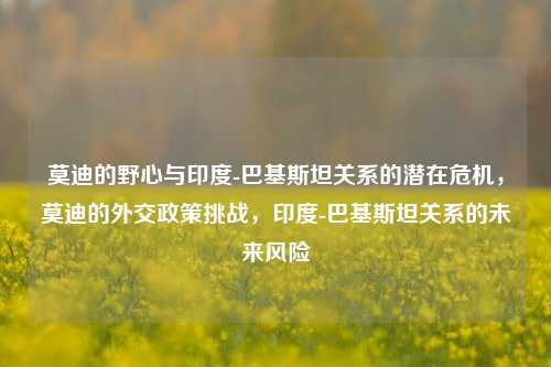 莫迪的野心与印度-巴基斯坦关系的潜在危机，莫迪的外交政策挑战，印度-巴基斯坦关系的未来风险
