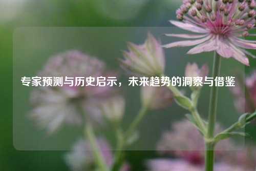 专家预测与历史启示，未来趋势的洞察与借鉴