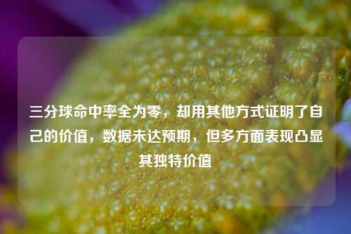 三分球命中率全为零，却用其他方式证明了自己的价值，数据未达预期，但多方面表现凸显其独特价值