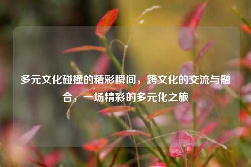 多元文化碰撞的精彩瞬间，跨文化的交流与融合，一场精彩的多元化之旅