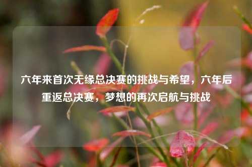六年来首次无缘总决赛的挑战与希望，六年后重返总决赛，梦想的再次启航与挑战
