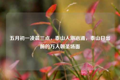 五月初一凌晨三点，泰山人潮汹涌，泰山日出前的万人朝圣场面