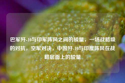 巴军歼-10与印军阵风之间的较量，一场战略级的对抗，空军对决，中国歼-10与印度阵风在战略层面上的较量