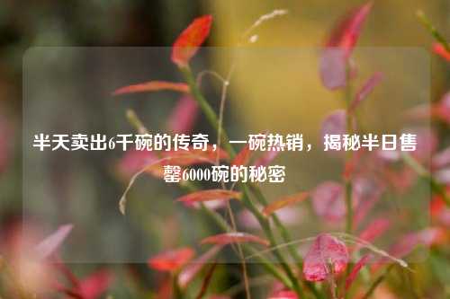 半天卖出6千碗的传奇，一碗热销，揭秘半日售罄6000碗的秘密