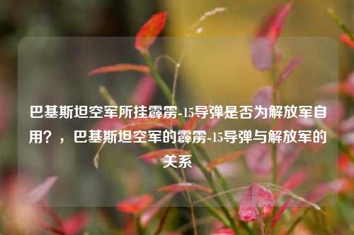 巴基斯坦空军所挂霹雳-15导弹是否为解放军自用？，巴基斯坦空军的霹雳-15导弹与解放军的关系