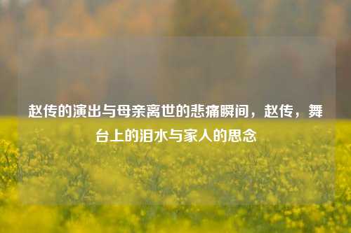 赵传的演出与母亲离世的悲痛瞬间，赵传，舞台上的泪水与家人的思念