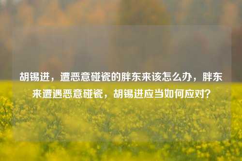 胡锡进，遭恶意碰瓷的胖东来该怎么办，胖东来遭遇恶意碰瓷，胡锡进应当如何应对？