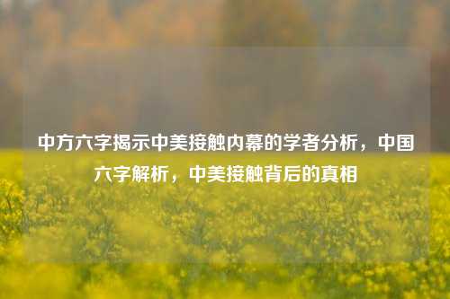 中方六字揭示中美接触内幕的学者分析，中国六字解析，中美接触背后的真相