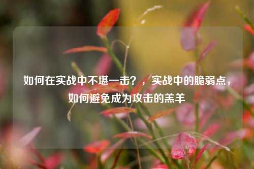 如何在实战中不堪一击？，实战中的脆弱点，如何避免成为攻击的羔羊