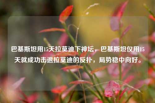 巴基斯坦用15天拉莫迪下神坛，巴基斯坦仅用15天就成功击退拉莫迪的反扑，局势稳中向好。