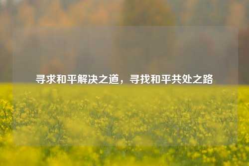 寻求和平解决之道，寻找和平共处之路